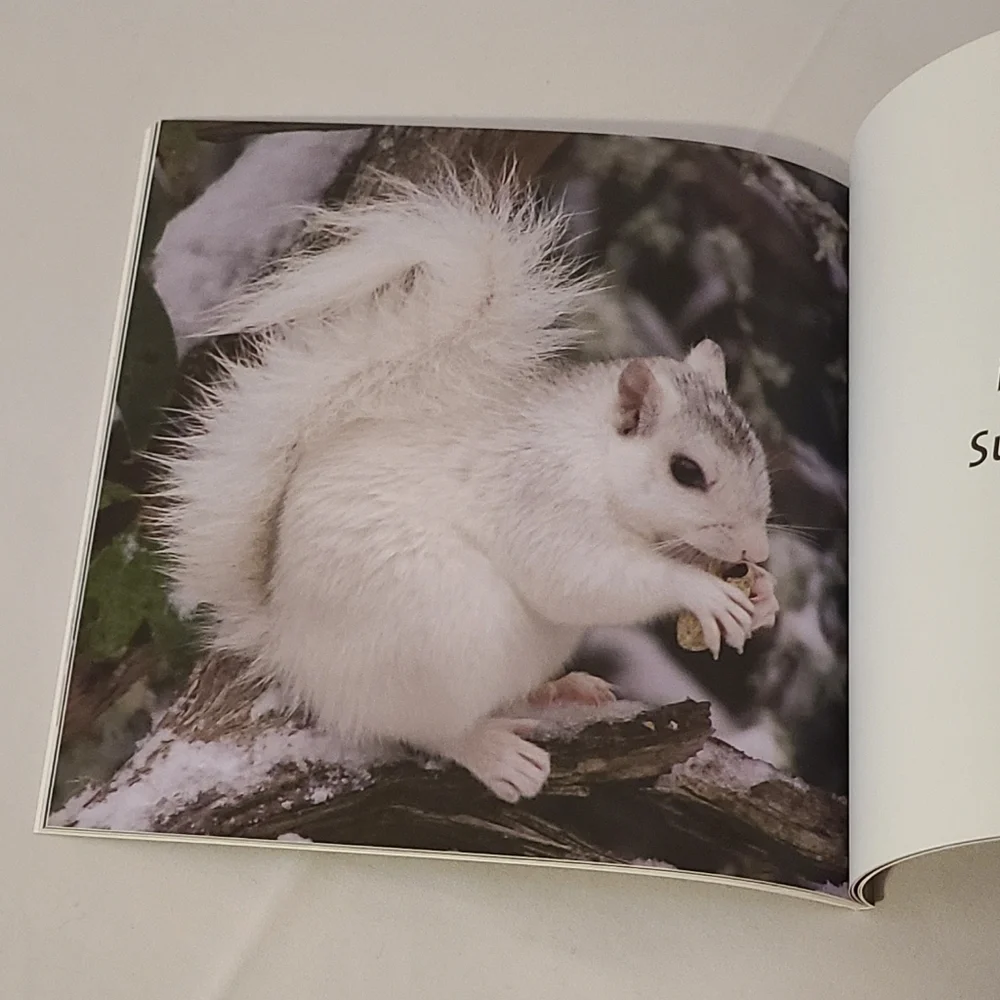Book The White Squirrels Of North Carolina By Don Weiser 👓